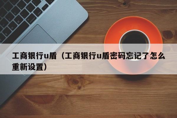 工商银行u盾（工商银行u盾密码忘记了怎么重新设置）