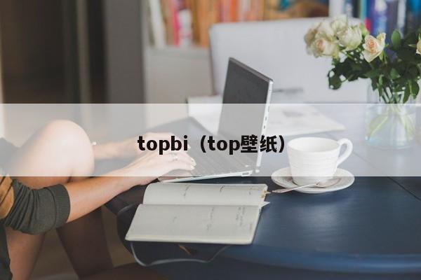 topbi（top壁纸）