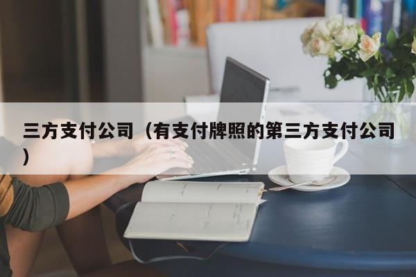 三方支付公司（有支付牌照的第三方支付公司）-第1张图片