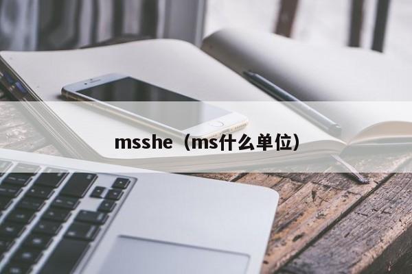 msshe（ms什么单位）-第1张图片