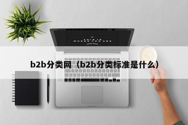 b2b分类网（b2b分类标准是什么）