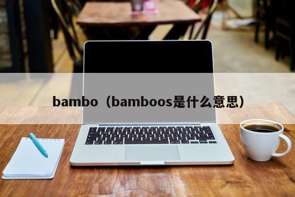 bambo（bamboos是什么意思）