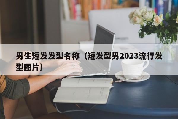 男生短发发型名称（短发型男2023流行发型图片）