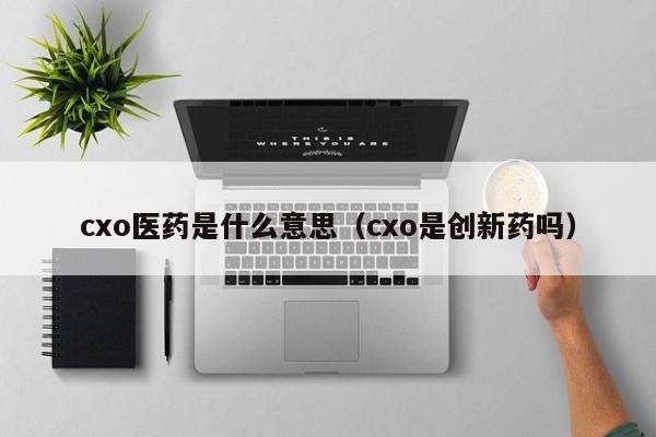 cxo医药是什么意思（cxo是创新药吗）