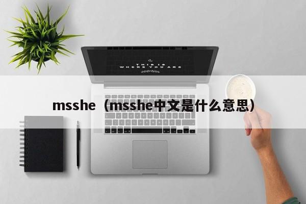 msshe（msshe中文是什么意思）