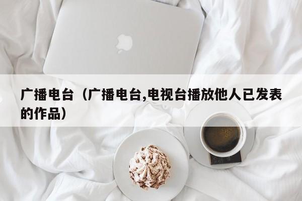 广播电台（广播电台,电视台播放他人已发表的作品）