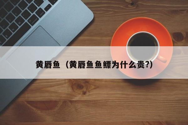 黄唇鱼（黄唇鱼鱼鳔为什么贵?）-第1张图片